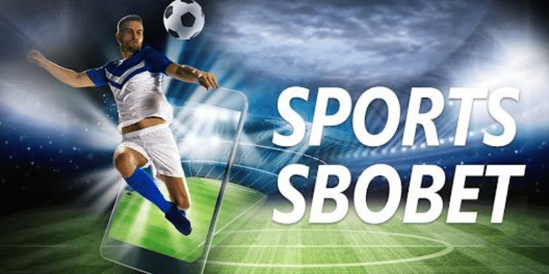 SBO Sport - Sảnh thể thao độc đáo